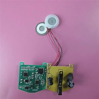 Ultrasonic Nebulizer Disc